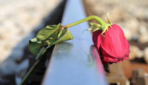 振られたことをきっかけに、自分の人生を変えたくなって海外に逃げるように行った27歳