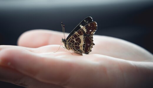 働く義務より「生きる権利」を考えてみた